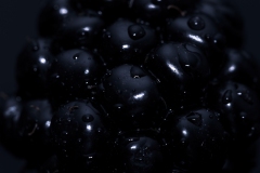 blacker-the-berry-1