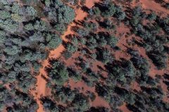 arizona-aerial-shot-1