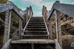 cairns-bay-stairs-1