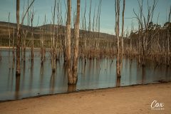 grampians-national-park-lake-bellfield