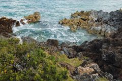 bermuda-5.2024-13