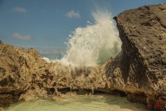 bermuda-5.2024-7