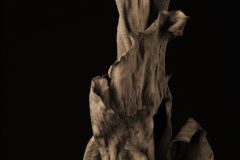 dried-leaf-sepia