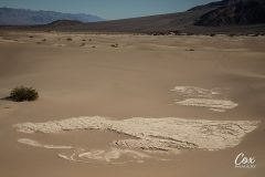 death-valley-2019-9