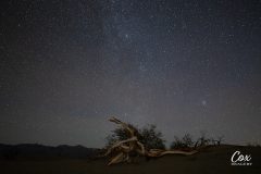 mesquite-flat-sand-dunes-stars