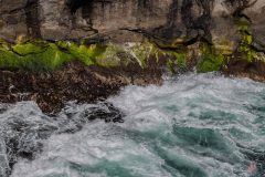 faroe-islands-11