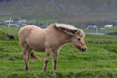 faroe-islands-7