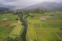 kauai-oct-2022-19