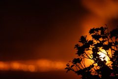 kilauea-silhouette-1