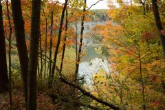 letchworth-autumn-2020