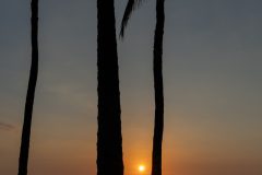 maui-2025-10
