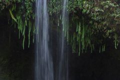 maui-2025-16