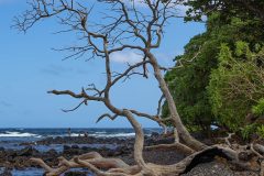 maui-2025-17