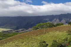 maui-2025-18