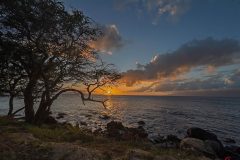 maui-2025-28