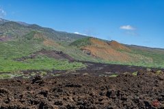 maui-2025-33