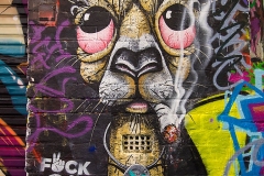 kangaroo-graffiti-melbourne-australia