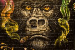 street-art-hosier-lane-melbourne-australia