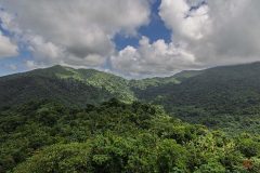 puerto-rico-2025-1