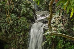 puerto-rico-2025-2