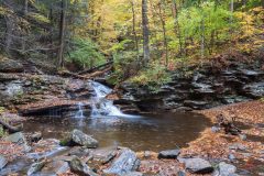 ricketts-glen-waters-meet