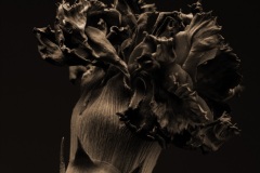dead-flower