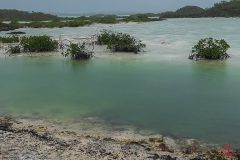 turks-and-caicos-3