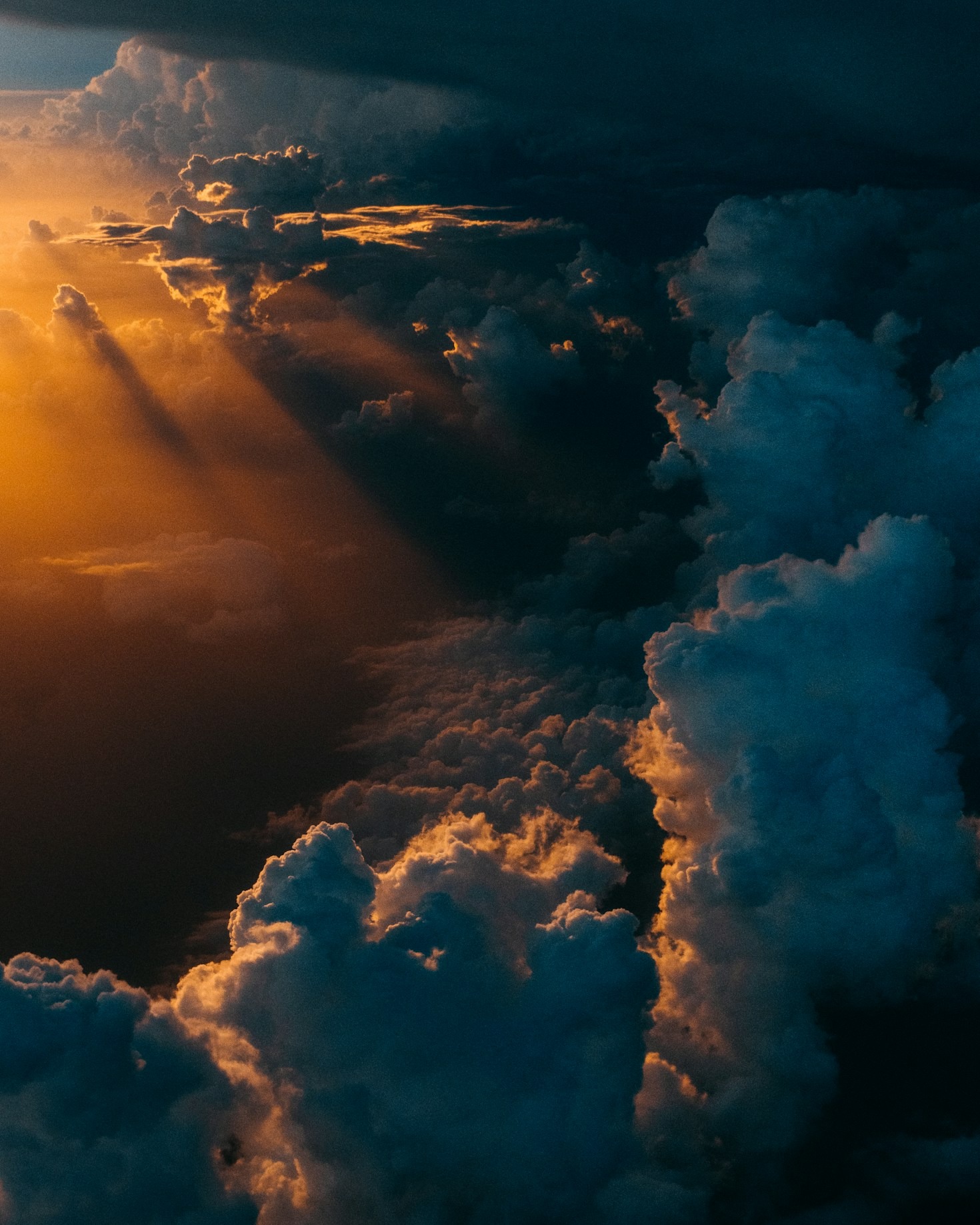 Why Photography Transforms How We View Life